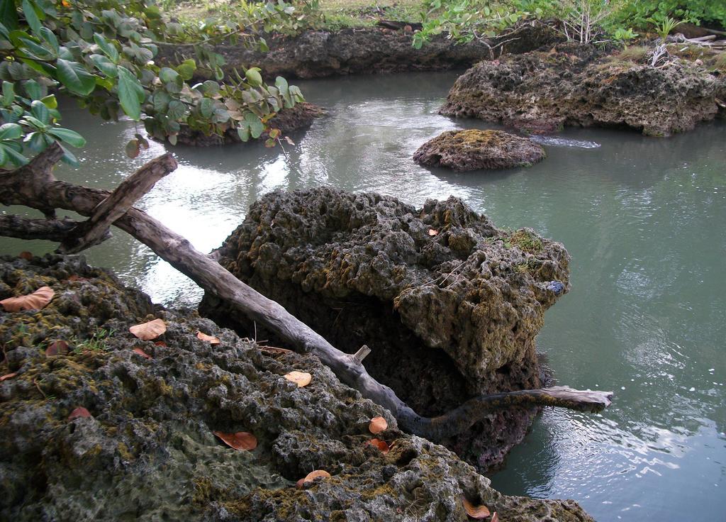 Piscina Natural On The Sea Cahuita Exterior photo