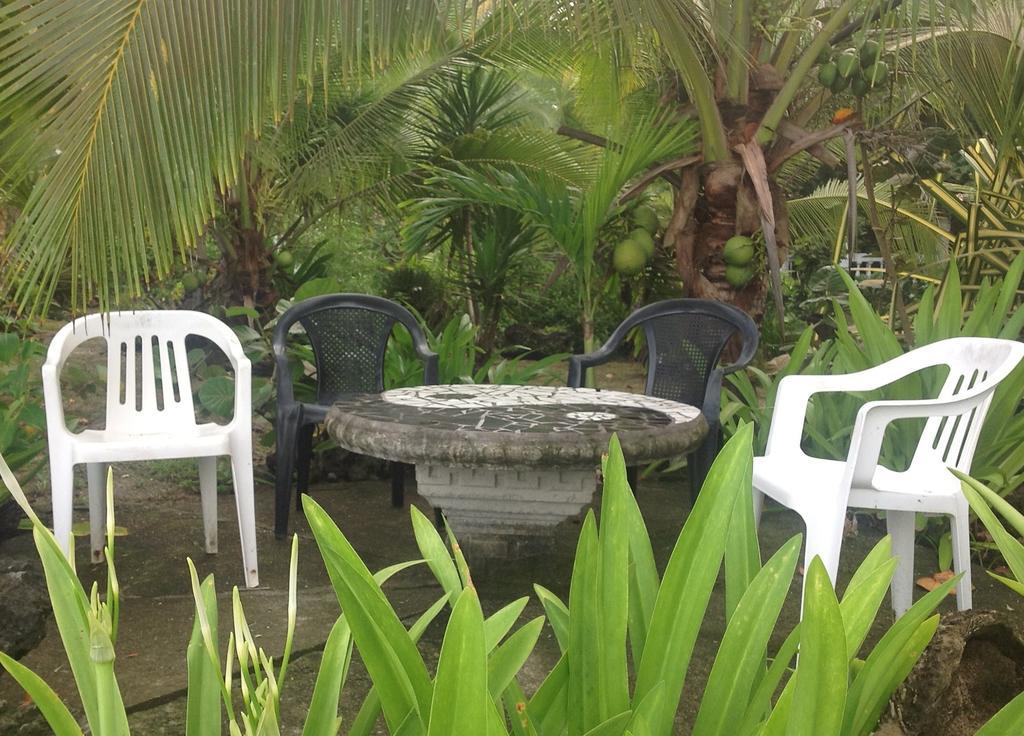 Piscina Natural On The Sea Cahuita Room photo