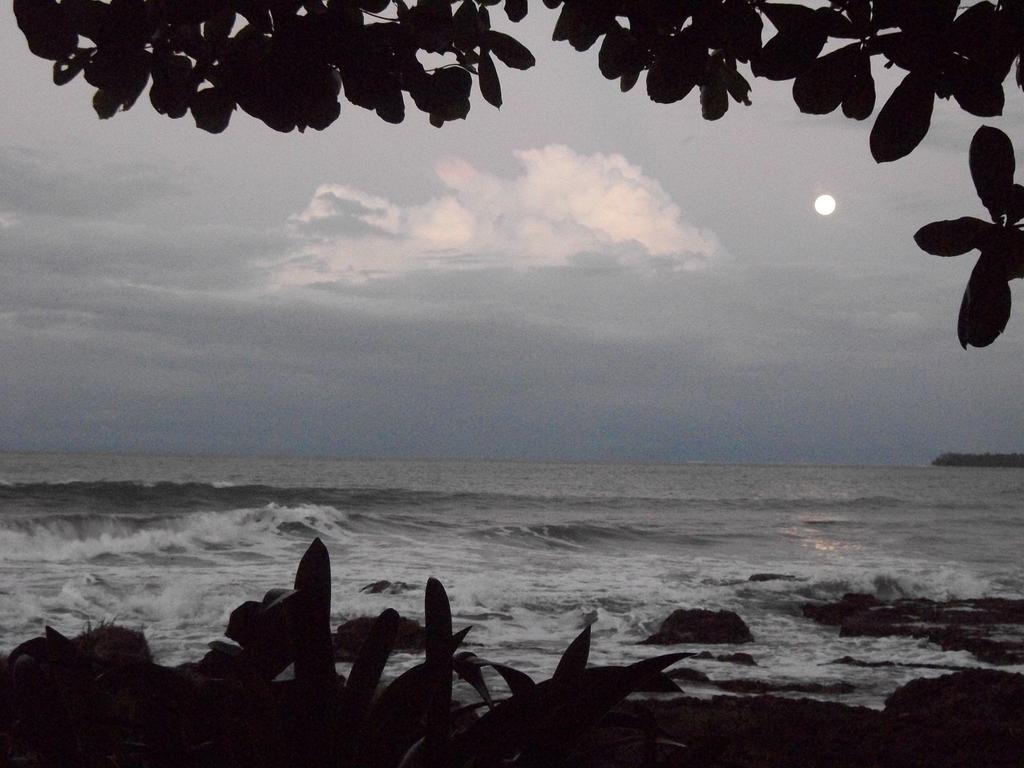 Piscina Natural On The Sea Cahuita Exterior photo
