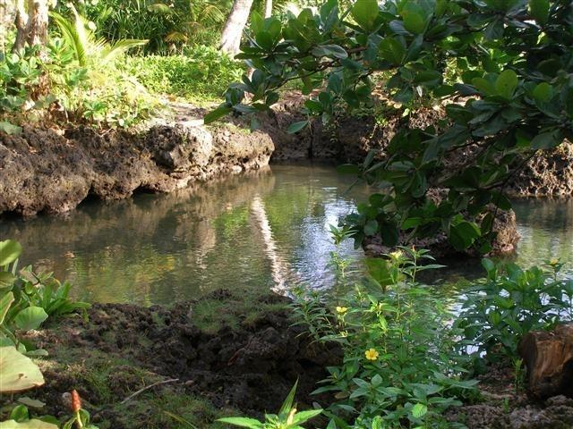 Piscina Natural On The Sea Cahuita Exterior photo