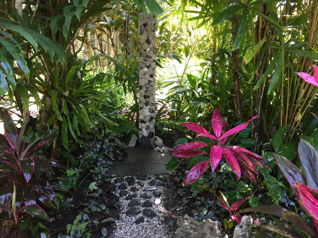 Piscina Natural On The Sea Cahuita Exterior photo